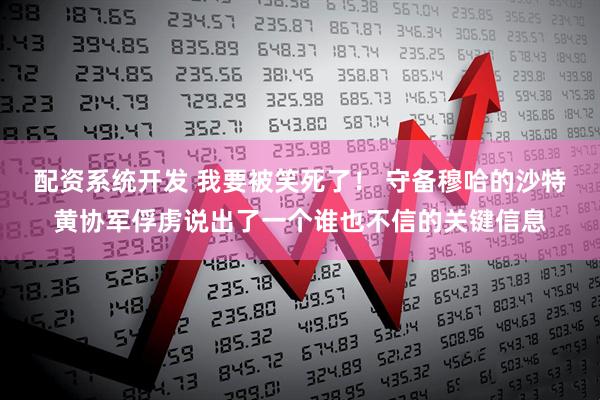 配资系统开发 我要被笑死了！ 守备穆哈的沙特黄协军俘虏说出了一个谁也不信的关键信息